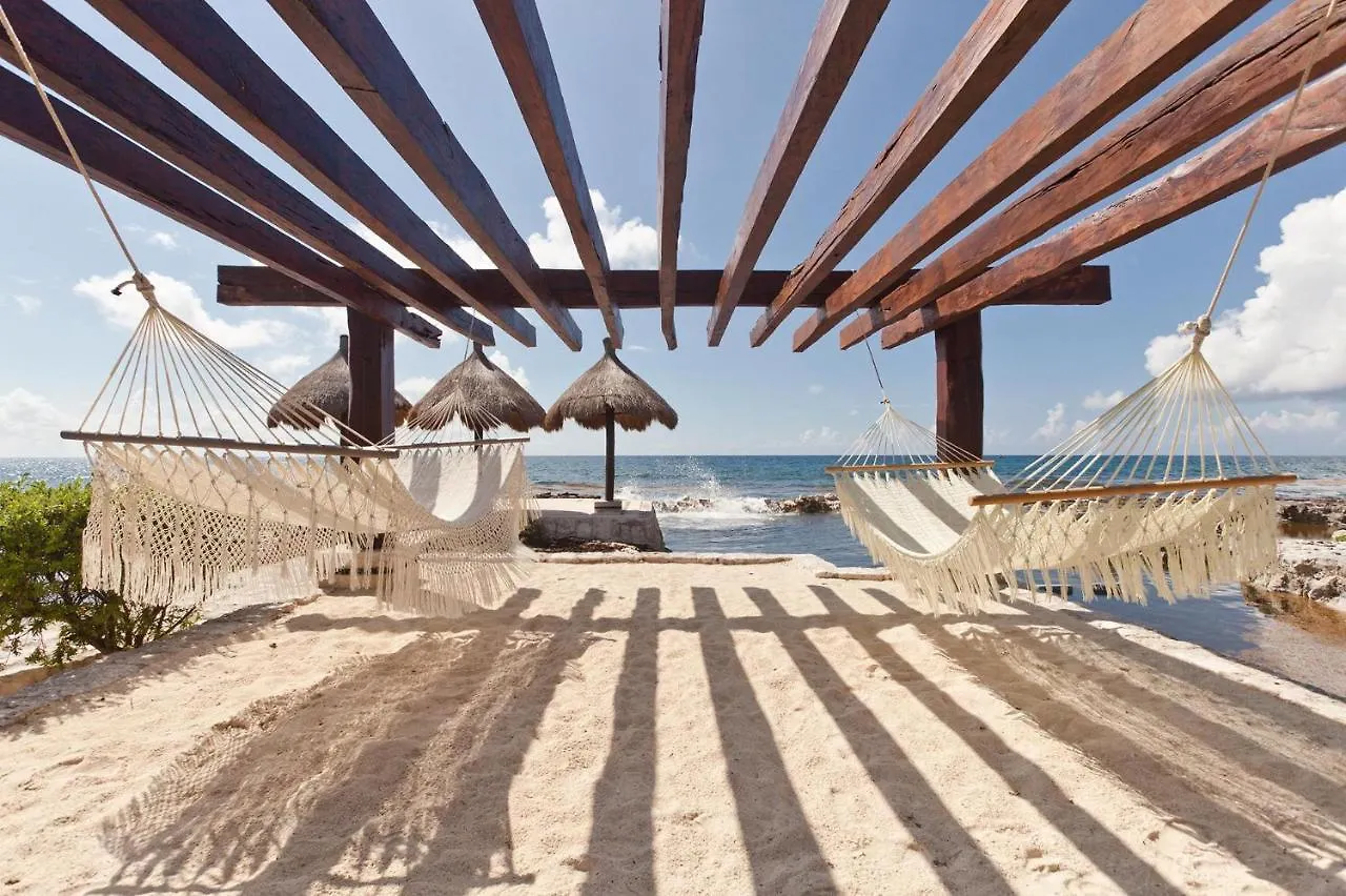 Spacious 3 Bedroom With Sea View In Puerto Aventuras! México